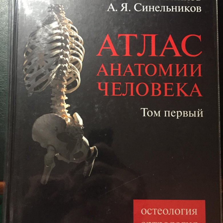 Учебник синельникова по анатомии. Атлас анатомии человека Синельников том 4. Атлас анатомии человека р.д Синельникова в 4 томах. Синельников 1 Tom. Анатомия Синельников 1 том.