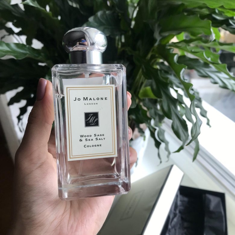 Jo malone wood sage sea salt. Jo Malone Wood Sage Sea Salt 100ml. Парфюм Jo Malone Wood Sage Sea Salt. Духи Jo Malone Wood Sage 100 ml. Wood Sage Sea Salt 100 ml.