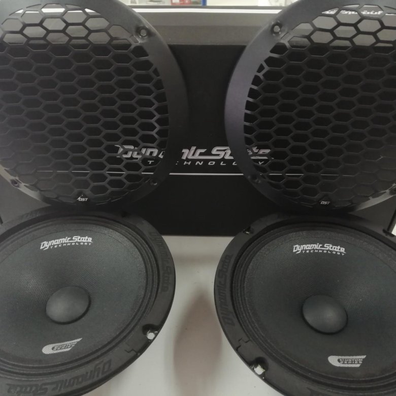 Dynamic state skif 302. Dynamic state cm-20.3v2. динамики dynamic state 20. dynamic state cm20.3. dynamic state 20.3 v2.