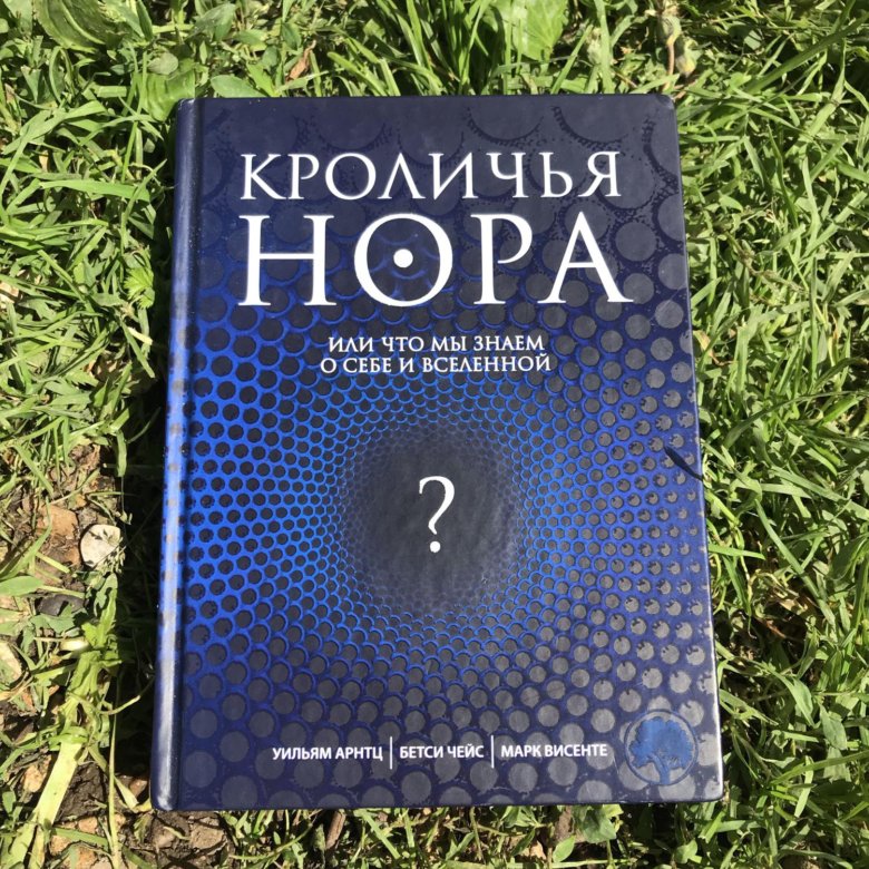 Проект кроличья нора