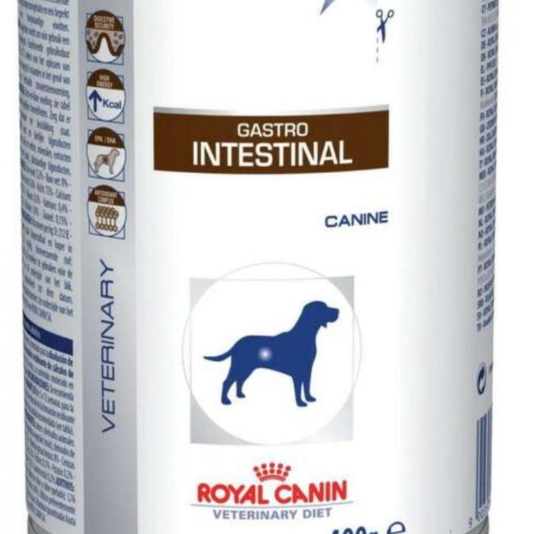 Корм hepatic для собак. Роял Канин 400 гр для собак. Royal Canin Gastrointestinal. Роял Канин гастро Интестинал для собак. Royal Canin Gastro intestinal для собак 400g.