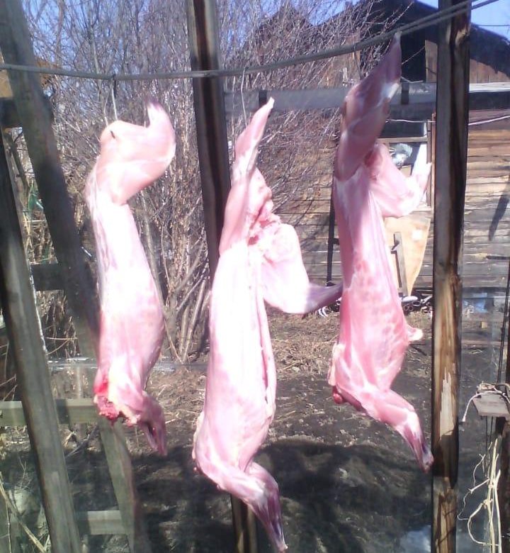 Фото мясо кролика на продажу