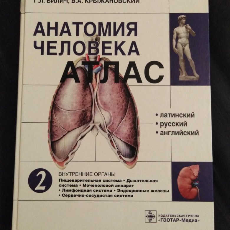 Билич крыжановский анатомия. Атлас Билич Крыжановский том 1. Билич атлас анатомии человека. Анатомия человека Билич Крыжановский. Атлас Билич Крыжановский.