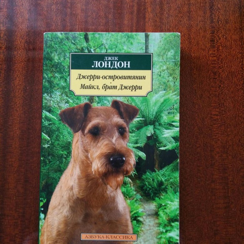 Джек лондон островитянин. Джек островитянин книга. Джек лондон островитянин. Джерри-островитянин джек лондон книга. Джерри-островитянин джек лондон книга.