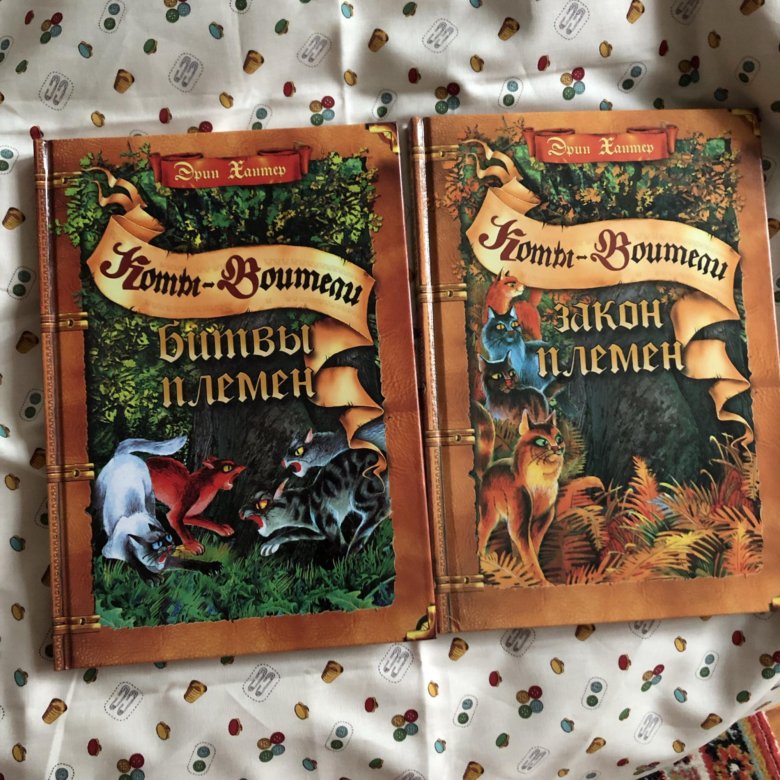 Пото пото живопись. Закон племени. Стиль пото пото. Солнечный путь книга. Законы сказки.