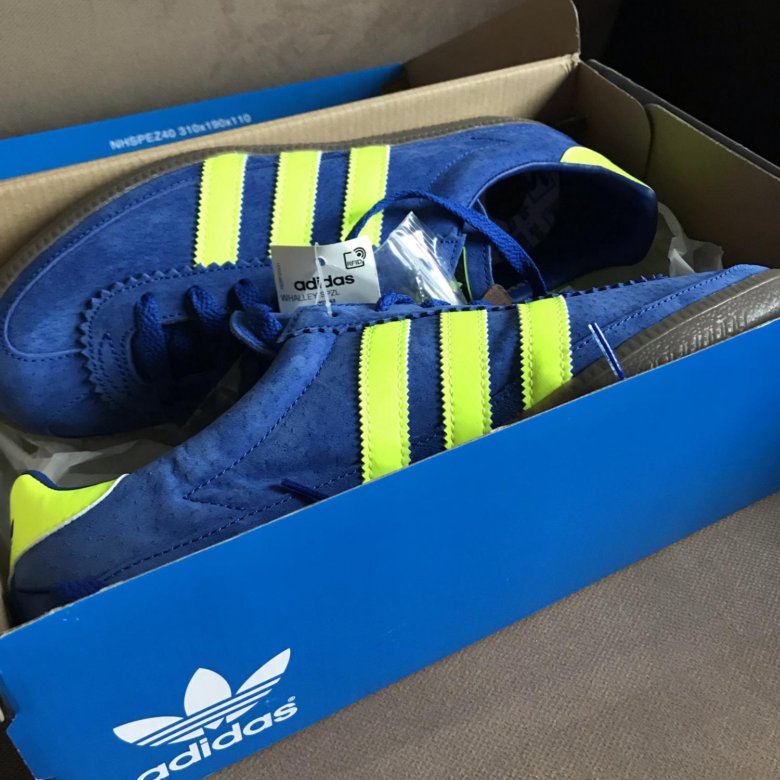 Whalley spzl 2024