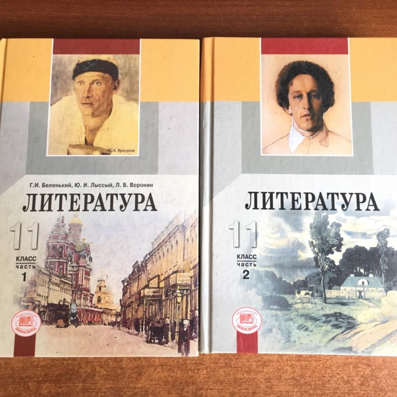 Литература. 11 Класс. Учебник.