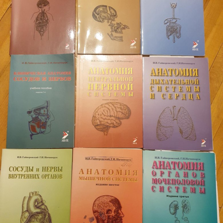 Гайворонский учебник. Гайворонский методичка. Гайворонский анатомия нервной системы. Методички Гайворонского по анатомии. Книга Гайворонский анатомия.