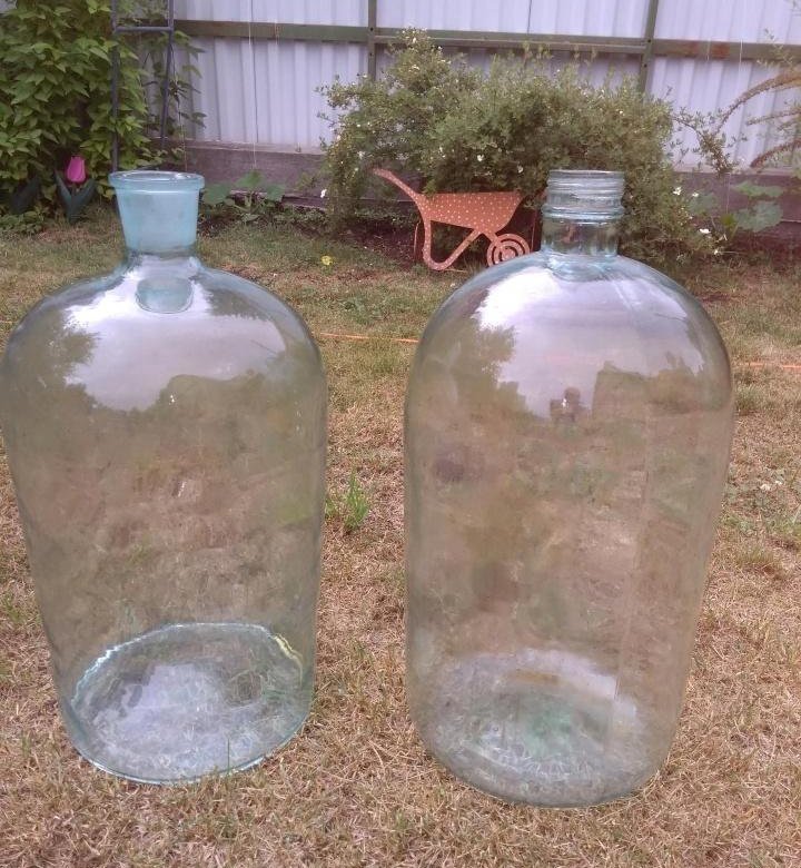 бутыль стеклянная. бутыль твист 10л. бутыль стеклянная. стеклянные бутыли москва. зеленая бутыль большая круглая.