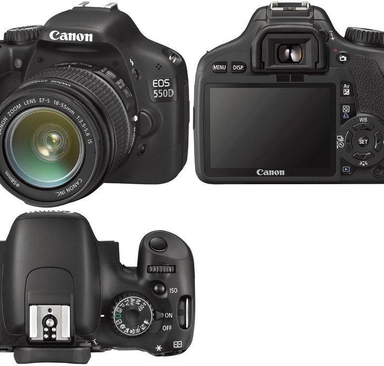 Canon eos 550d примеры фото Зеркальная камера Canon EOS 550D - купить в Хабаровске, цена 17 900 руб., продан