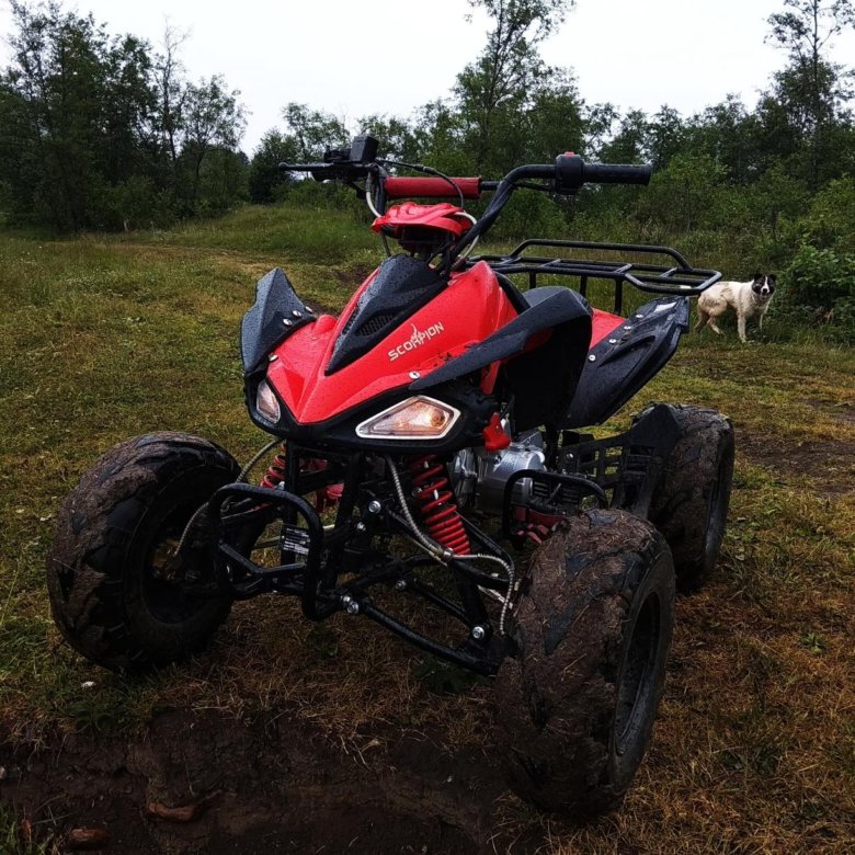 Квадроцикл скорпион 125 кубов цена