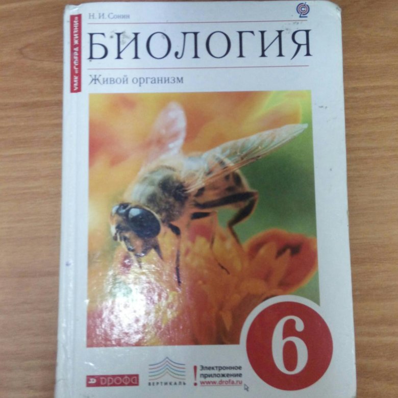 Биология шестой класс. Биология 6 класс Сонин Сонина. Биология 6 класс Захаров Сонина. Биология 6 класс Сонин Сонина учебник. Сонин н.и. биология 6 класс Дрофа.