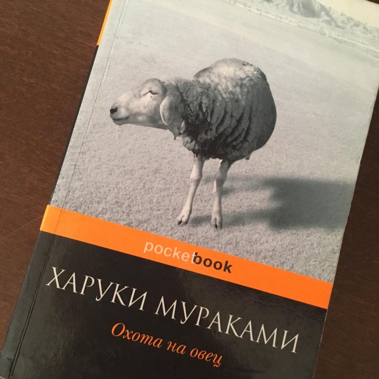 Охота на овец о чем. Охота на овец Харуки Мураками книга. Охота на овец Харуки Мураками трилогия. Харуки Мураками Рождество овцы. Харуки Мураками охота на овец Эксмо.