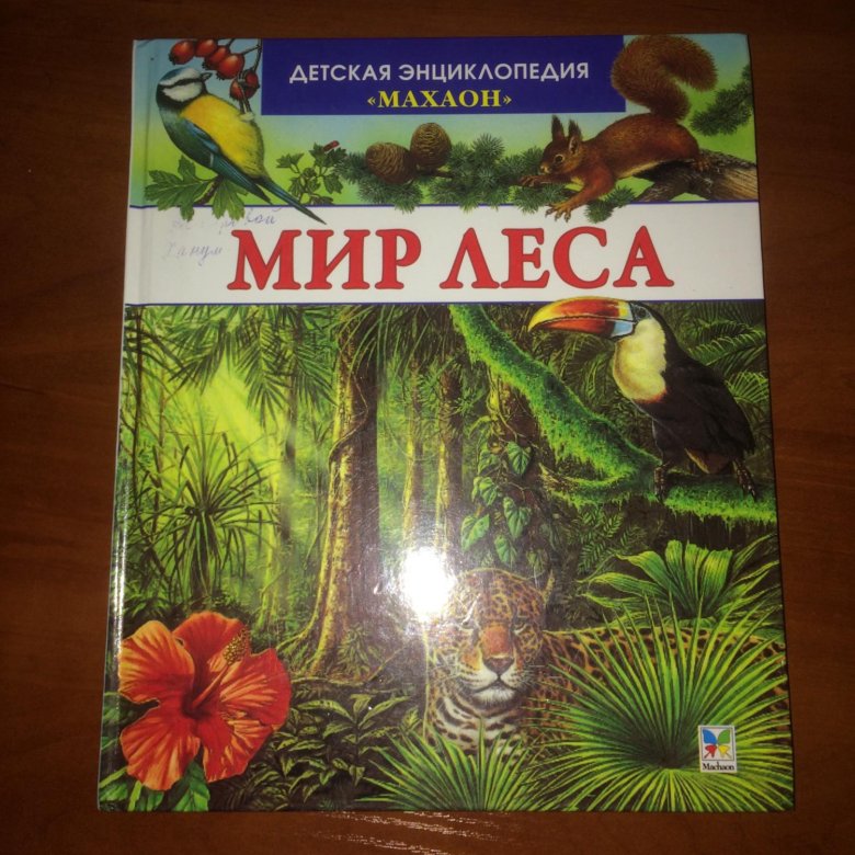 Мир леса книга. Мир леса Махаон. Детские энциклопедии Махаон мир леса. Детская энциклопедия мир леса.