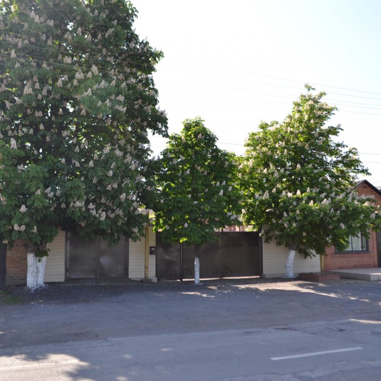 новошахтинск центр. базарная 2 новошахтинск. магазин греция в белой калитве. 2 планеты новошахтинск меню. магазин цветов 24 часа.