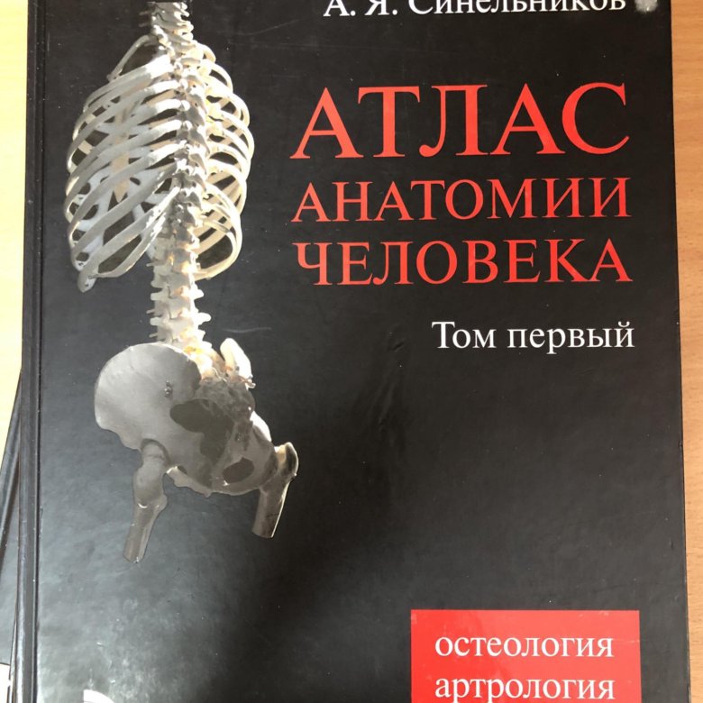 Учебник синельникова по анатомии. Привес атлас анатомии человека. Атлас анатомии человека привес Синельников. М.Г. привес. Анатомия человека. Атлас привеса анатомия.