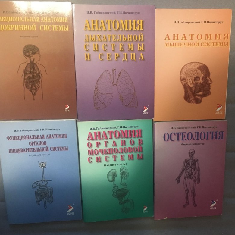 Гайворонский анатомия. Методички Гайворонского. Методички Гайворонского по анатомии. ССС Гайворонский методичка. Гайворонский Черепные нервы методичка.