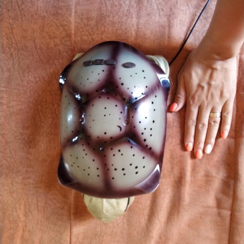 ������ ������ ��� ����� ����