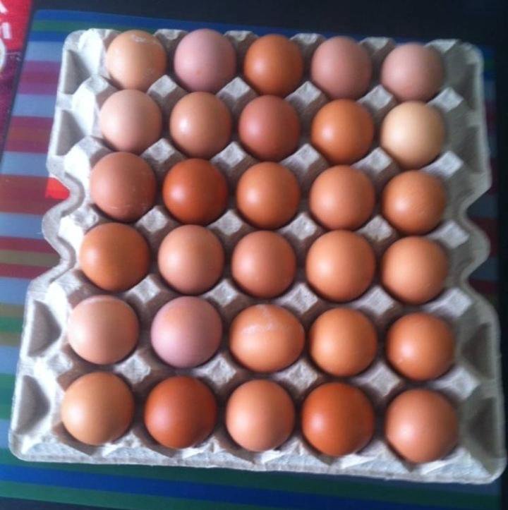 Купить яйца иркутск. Подработка на продаже куриного яйца домашнего.
