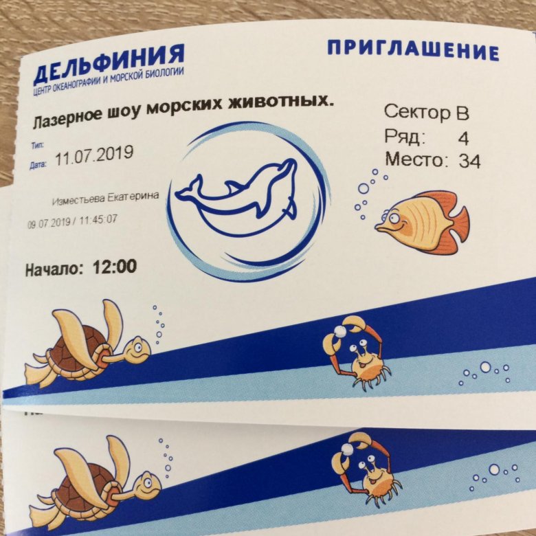 Цуефа в новосибирске билеты. Дельфиния Новосибирск. Дельфинарий Новосибирск. Дельфиния в Новосибирске расписание.