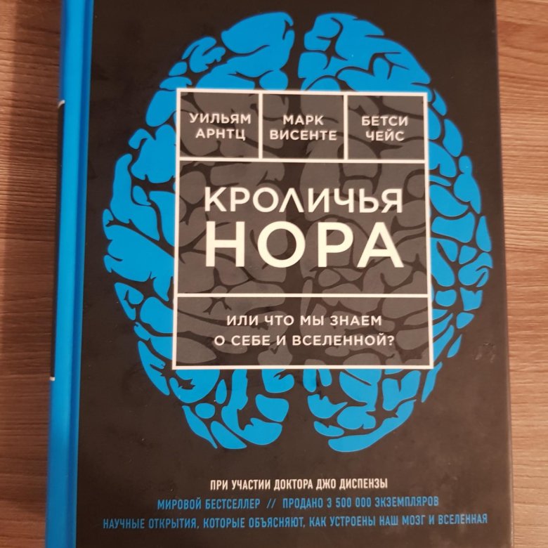 Проект кроличья нора