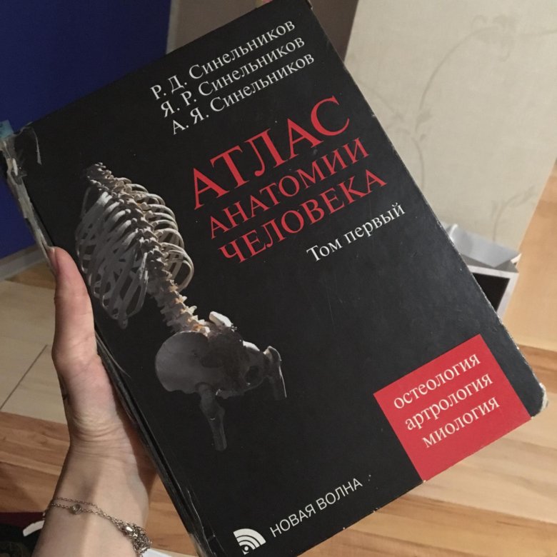 Учебник синельникова по анатомии. Атлас анатомии человека Синельников 1 том. Атлас Синельникова анатомия. Атлас анатомии человека Синельников том 4. Атлас по анатомии Синельников.