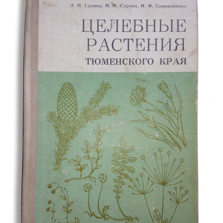 Зопник клубненосный. Жабрица лемана. Тюмень растительность. Тюмень лекарственные растения. Разнотравье урала.
