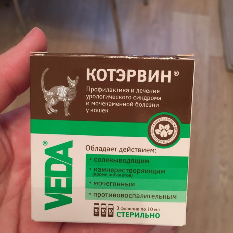 Котэрвин отзывы ветеринаров. Котэрвин отзывы ветеринаров