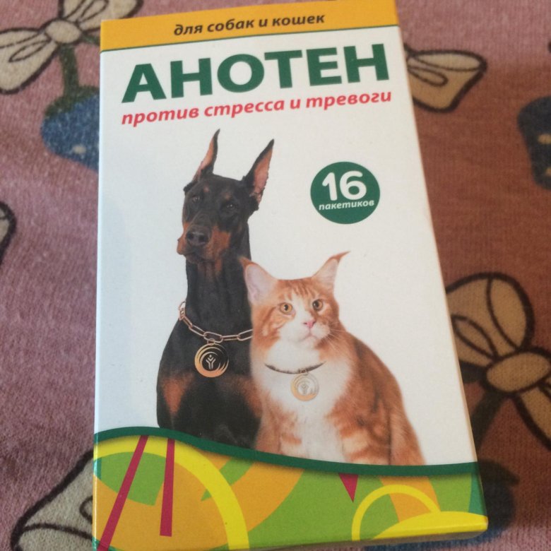 Анотен для кошек