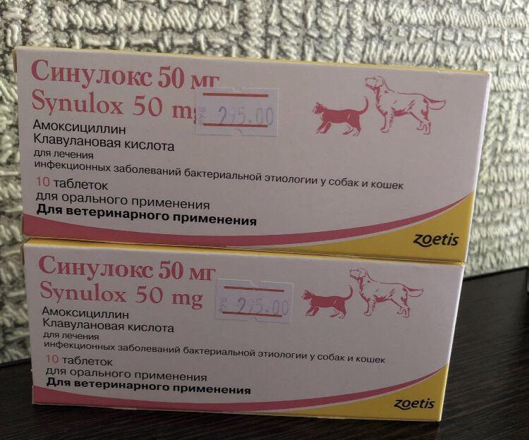 Купить синулокс 250 мг для собак. Синулокс таблетки. Амоксициллин или синулокс. Синулокс Краснодар. МИРАЛЕК синулокс.