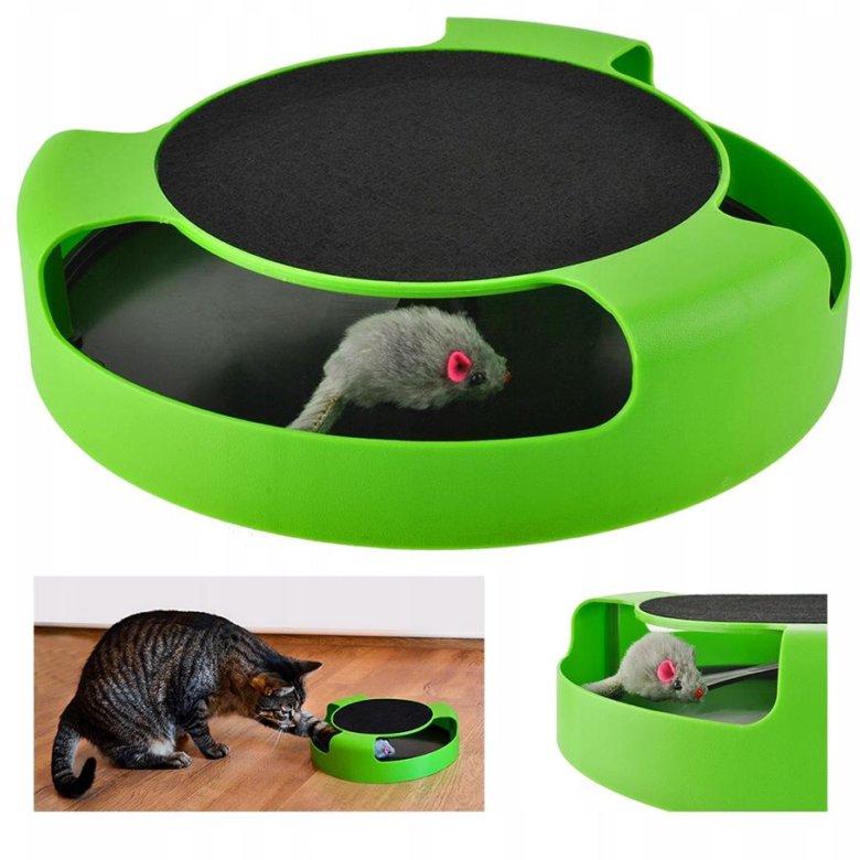 Звук кошки для мышей