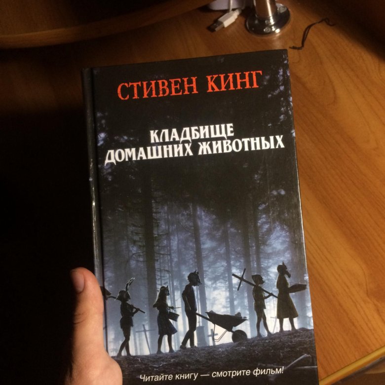 Книга кладбищ читать. Кладбище домашних животных книга. Грязь кладбищенская книга.