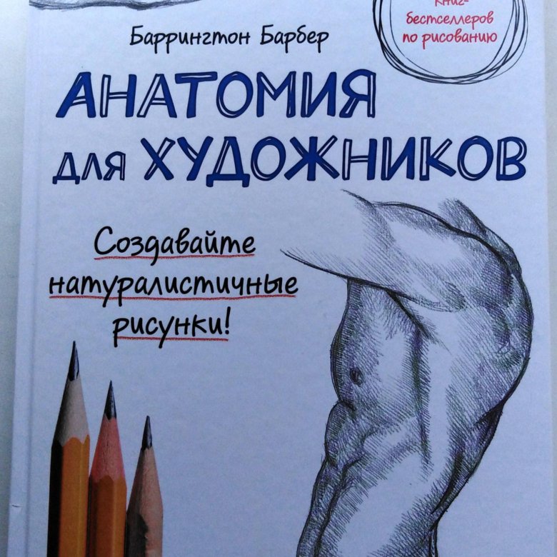 Баррингтон барбер. Баррингтон барбер анатомия для художников. Книга анатомия для художников Баррингтон барбер. Художник Баррингтон барбер. Баррингтон барбер - анатомия для художников 2016.