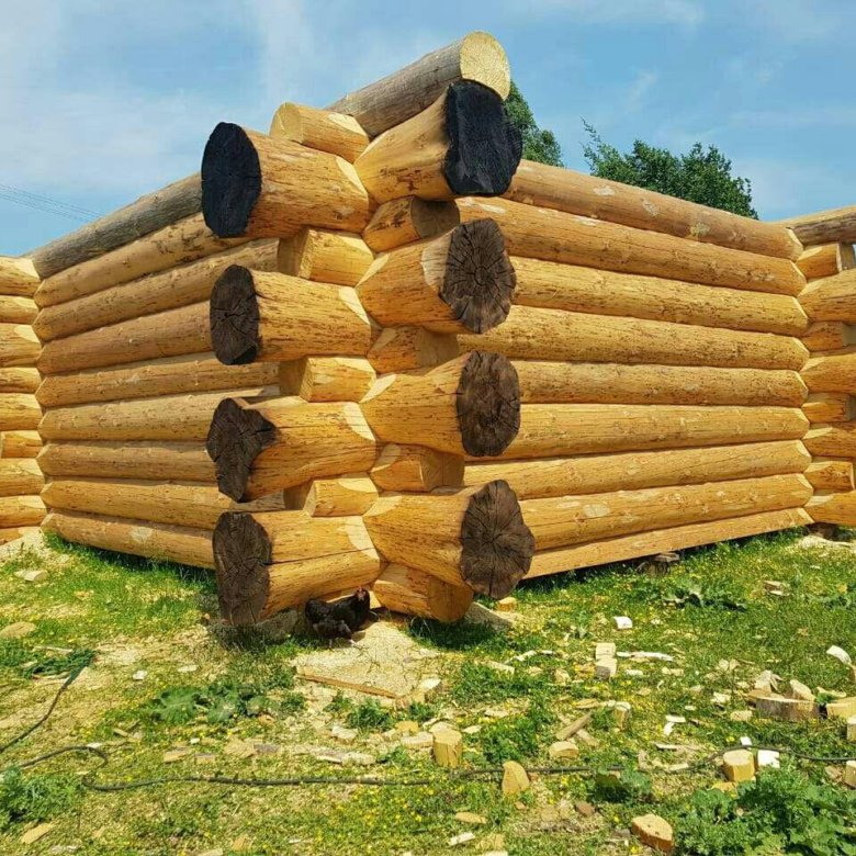 Срубы в чашу в смоленске. Сруб в чашу. Сруб в чашку. Баня сруб 3х4 рубленая. Сруб канадская рубка.