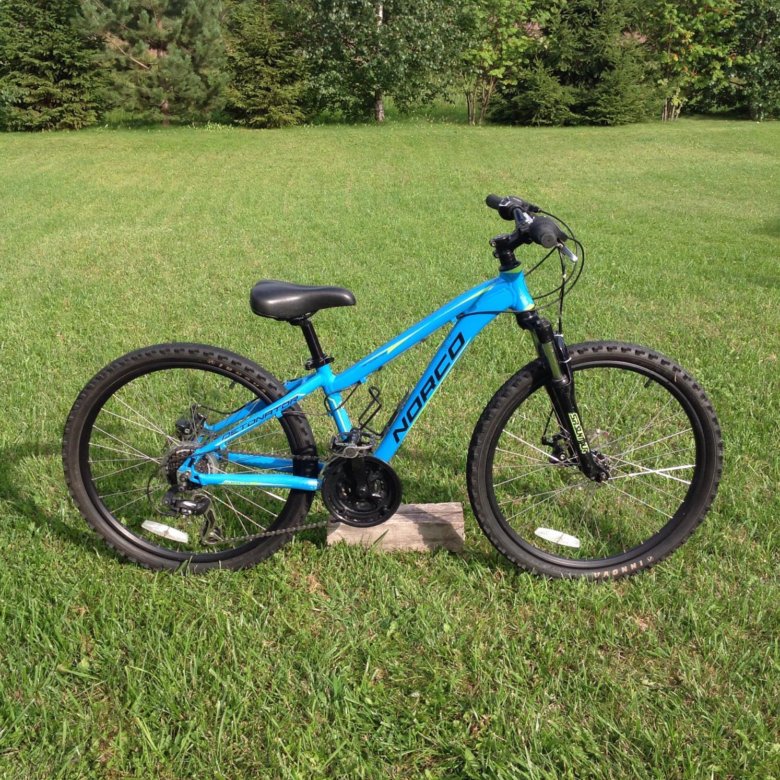 Norco best sale detonator 24