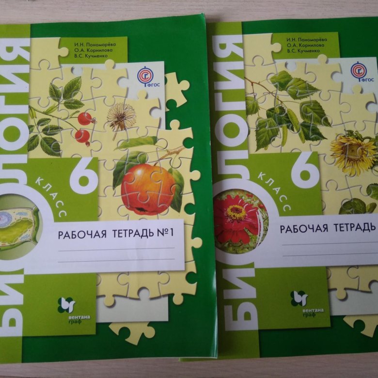 Тетрадь по биологии 6 класс. Рабочая тетрадь по биологии 6 класс. Рабочая тетрадь по биологии шестой класс. Рабочая тетрпдь по биологии6 класс.