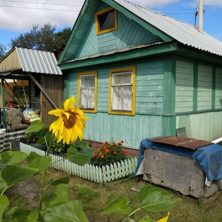 монзино тагил. сад горняк 1 нижний тагил. пос старатель нижний тагил. сад монзино. сад заря нижний тагил.