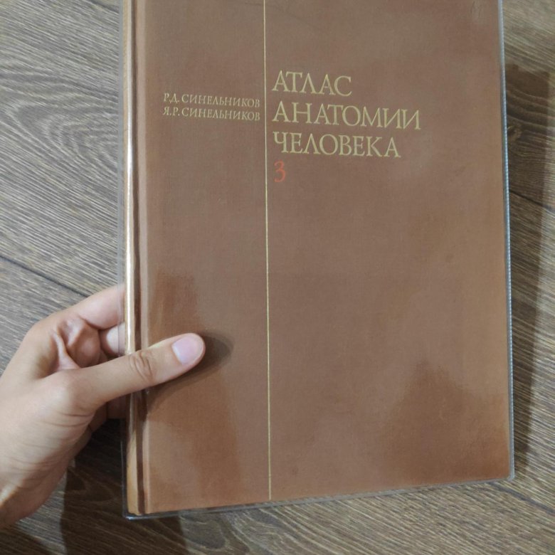 Атлас анатомия человека том 2. Атлас анатомии человека Синельников 2 том. Атлас анатомии Синельников том 3. Атлас анатомии человека 3 Тома Синельников. Синельников атлас.