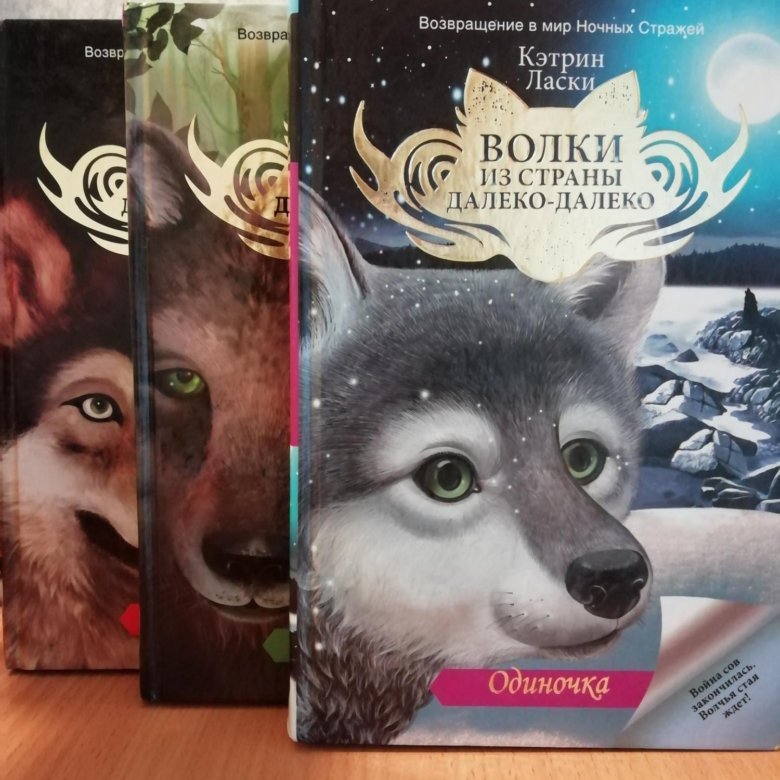 Книга волк киров. Книга волки из страны далеко-далеко. Книга волк киров. Последний из волков книга. Большой волк и маленький волк.