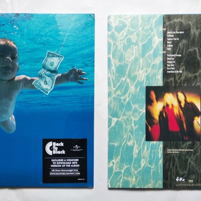 Nirvana nevermind слушать. Виниловая пластинка Nirvana Nevermind. Nirvana Nevermind альбом Vinyl. Nirvana Nevermind пластинка. Nirvana Nevermind альбом пластинка.