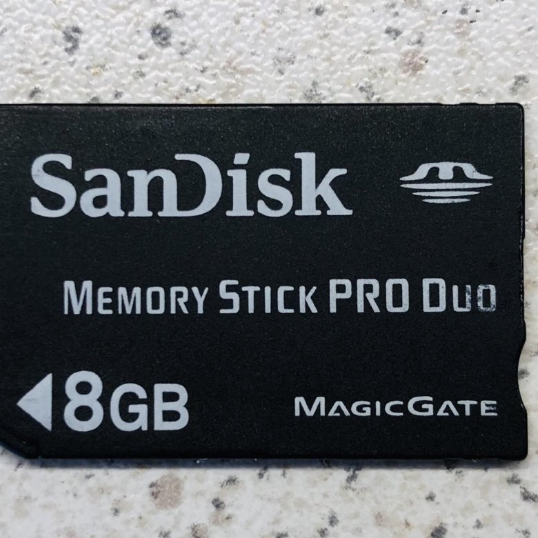 Memory Stick Pro Duo.