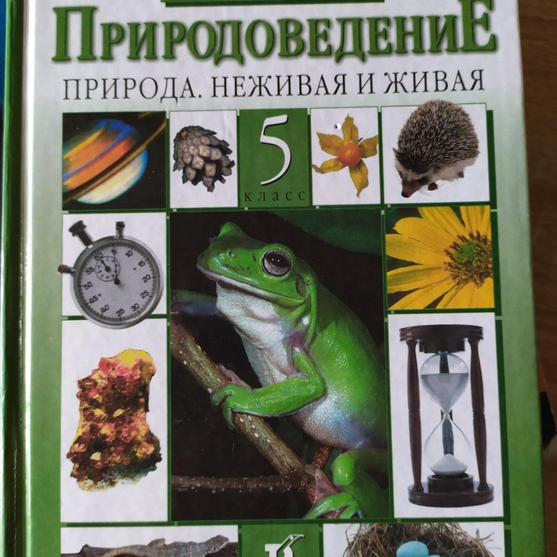 Учебник естествознание 5. Природоведение. Учебник по природоведению. Учебник по природоведению 5 класс. Природоведение 5 класс учебник.