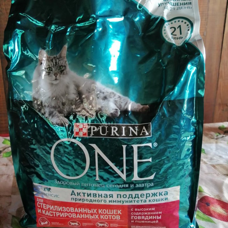 Purina one 3 кг. Пурина оне для кошек 3 кг. Purina one для кошек 3 кг. Аллергия у кошек на корм Пурина.