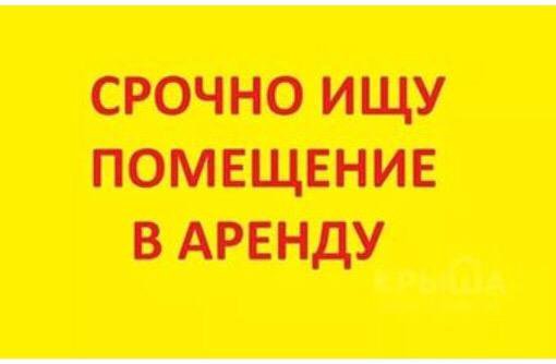 Как можно снимать в аренду
