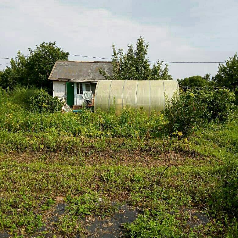 Продам участок хабаровск. Земельные участки Хабаровск. Дачи в Хабаровске фото.