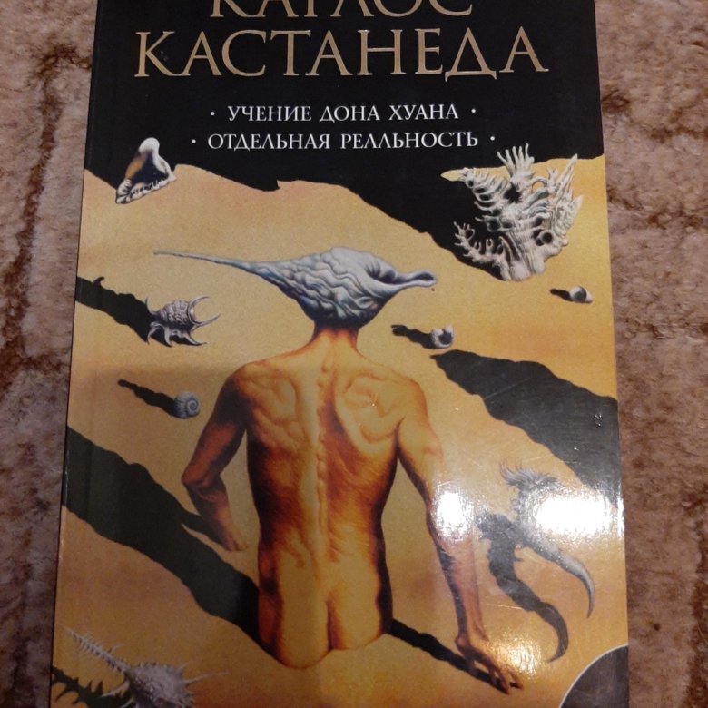 Книги кастанеды по порядку. Учение Дона Хуана. Кастанеда учение Дона Хуана. Учение Дон Хуан Кастанеда. Карлос Кастанеда путь воина.