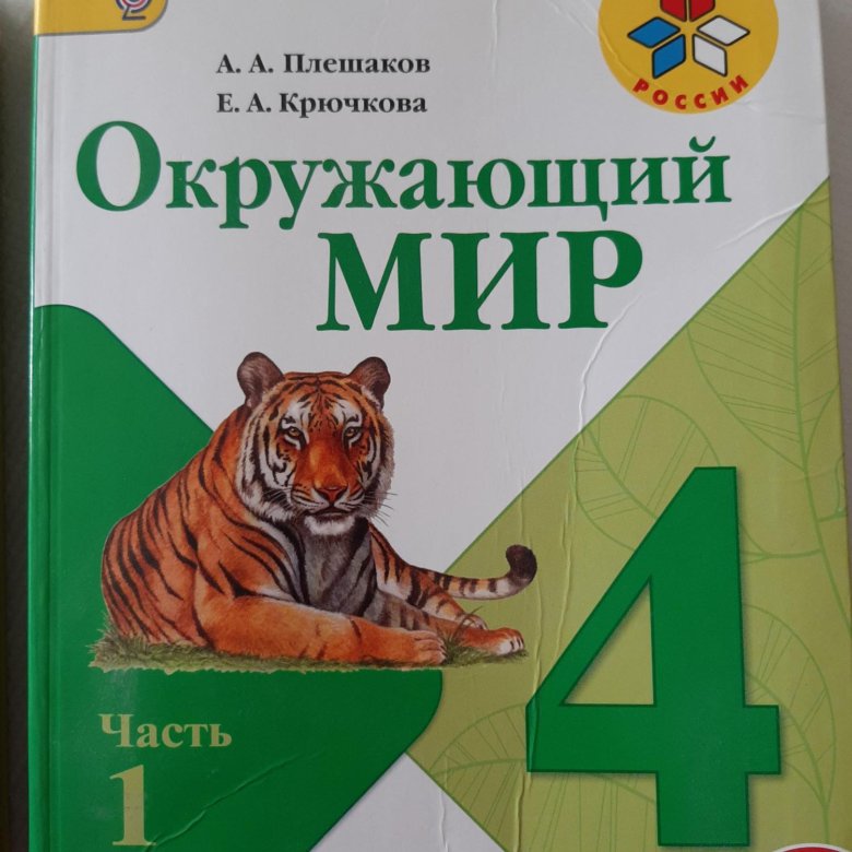 Плешаков мебель