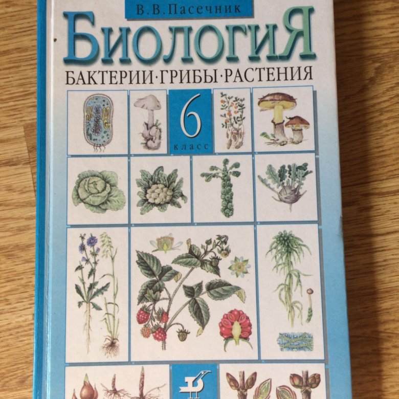 Биология. 6 Класс. Учебник. Пасечник биология 5 класс Дрофа. Пасечник в. в. биология. 6 Класс // Дрофа.. Биология. 5 Класс. Учебник.