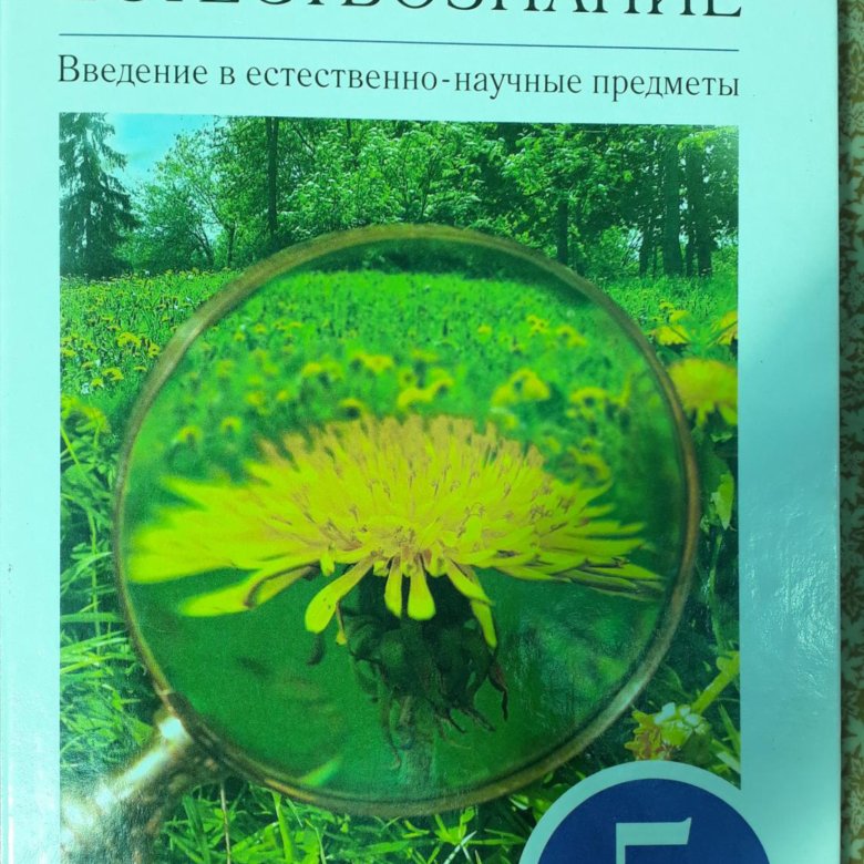 Книга естествознание 5 класс. Что такое естествознание 5 класс. Естествознание 5. Введение в естествознание. Плешаков сонин 5 класс естествознание.