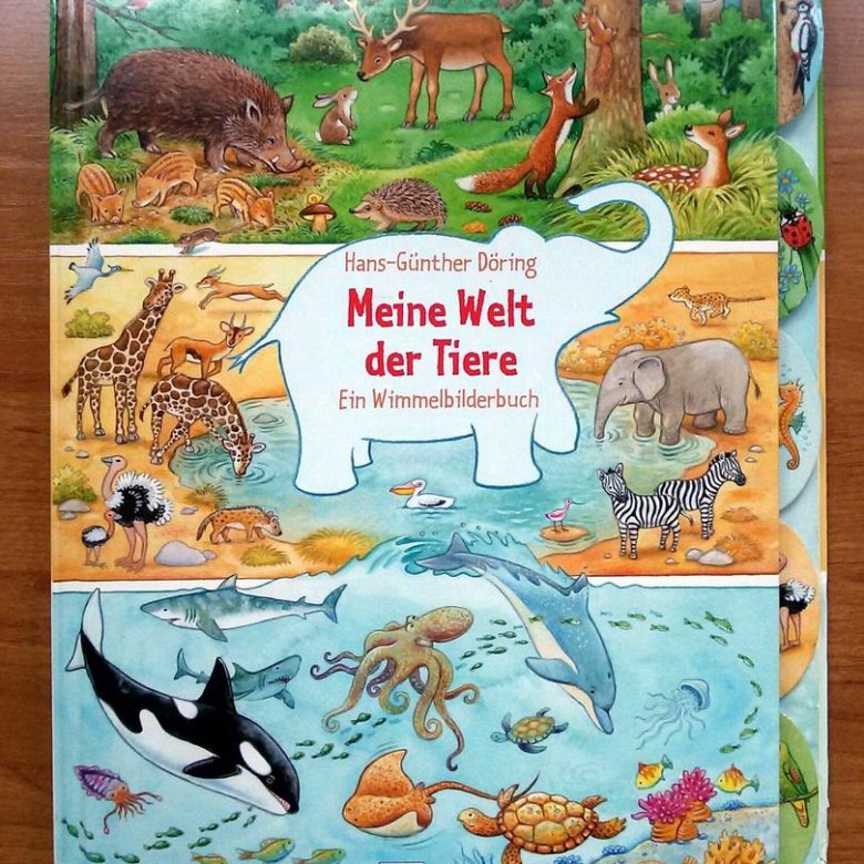 Die welt der. Die Welt der Tiere. Мой мир - meine Welt.